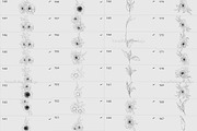 Procreate flower stamp, sunflower, a Brush Add-On by AnnaPolitmerskaja (Thumbnail 10 of 11)
