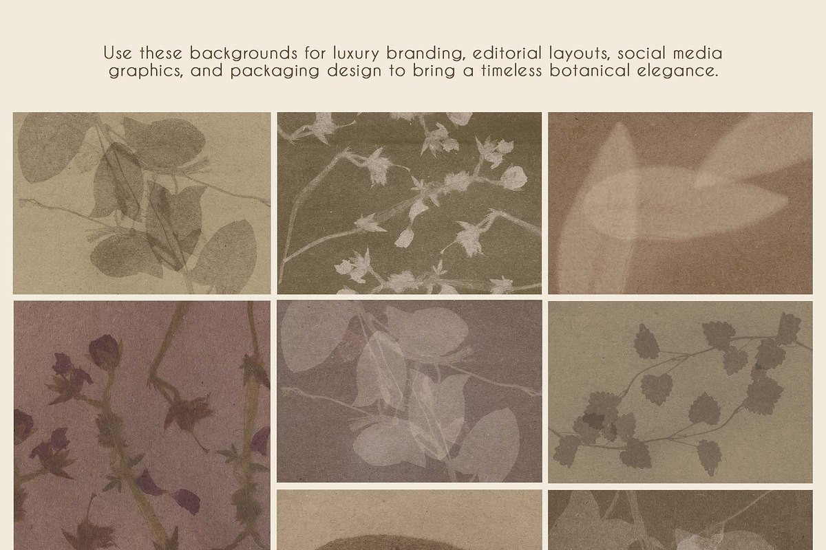 Silent Herbarium Botanical Textures, a Background Graphic by DigARTbyHavroshka (Photo 7 of 11)