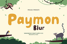 Paymon Blur