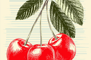 Vintage three ripe red cherries with, a Food & Drink Photo by MistyDay