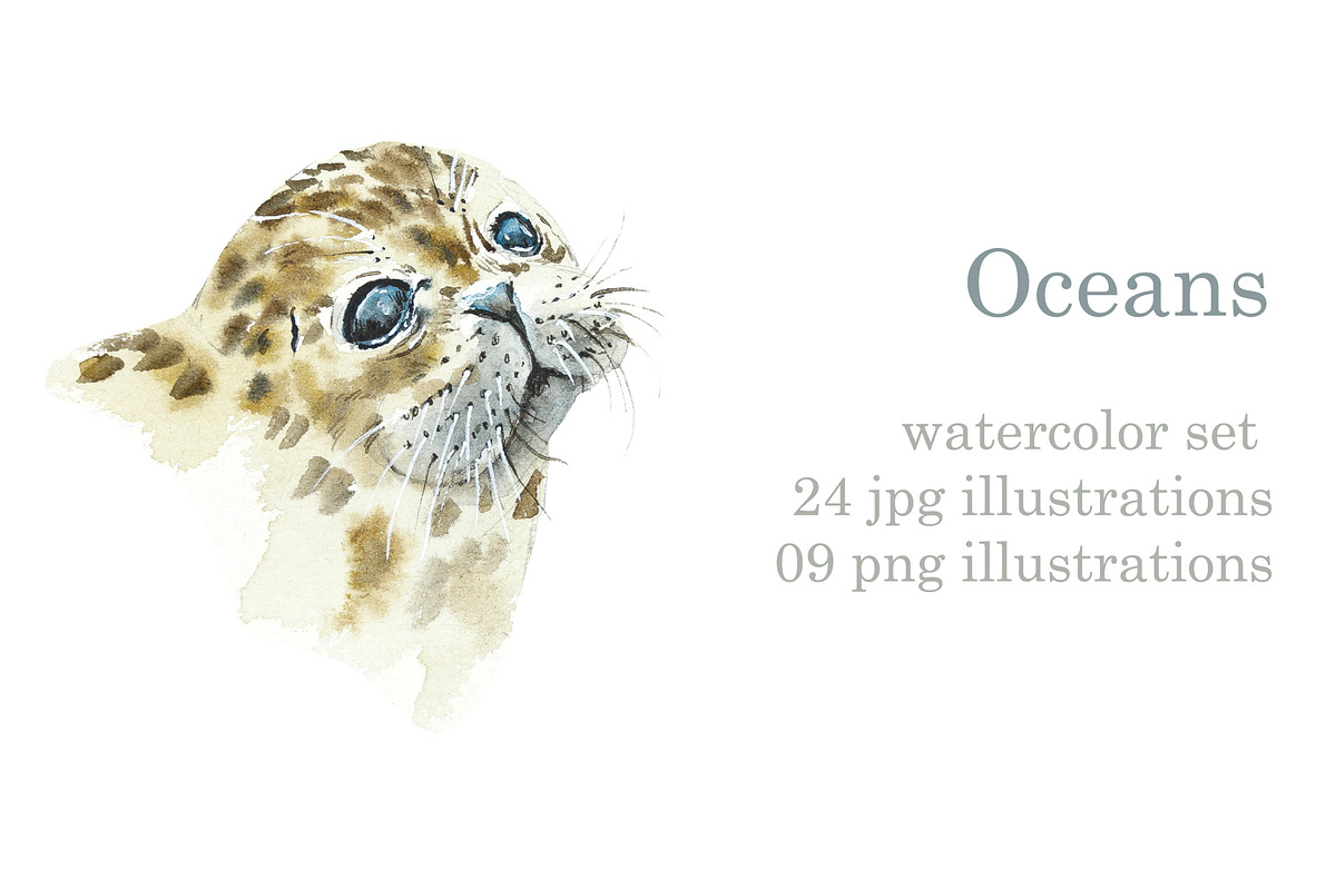 Watercolor Oceans, an Animal Illustration by Budogoshch (Photo 1 of 11)