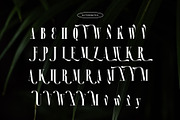 Ramond - Condensed Serif, a Serif Font by Novitype (Thumbnail 12 of 14)