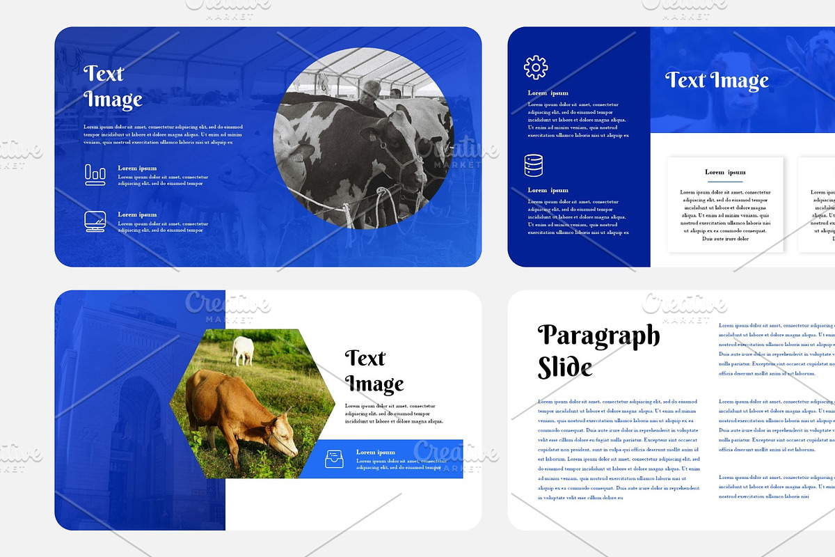 Eid Adha Presentation, a Presentation Template by Interpitch (Photo 3 of 8)