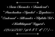 Barsela Calligraphy, a Script Font by Suza Studio (Thumbnail 11 of 12)