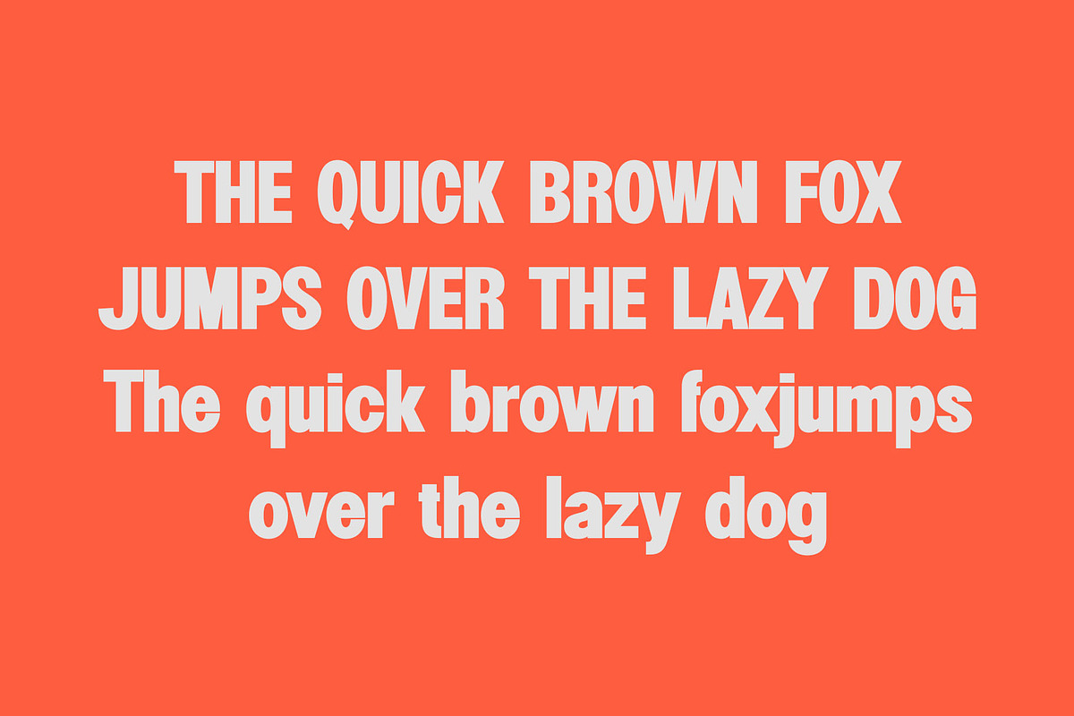 Winking - Modern Sans Serif, a Sans Serif Font by TypeLogue (Photo 2 of 5)