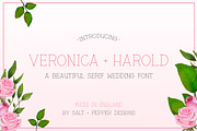 The Girly Font Bundle (ONLY $10), a Font by Salt & Pepper Designs (Thumbnail 7 of 11)
