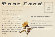 Visca - Vintage Script Font, a Script Font by Sronstudio (Thumbnail 9 of 13)