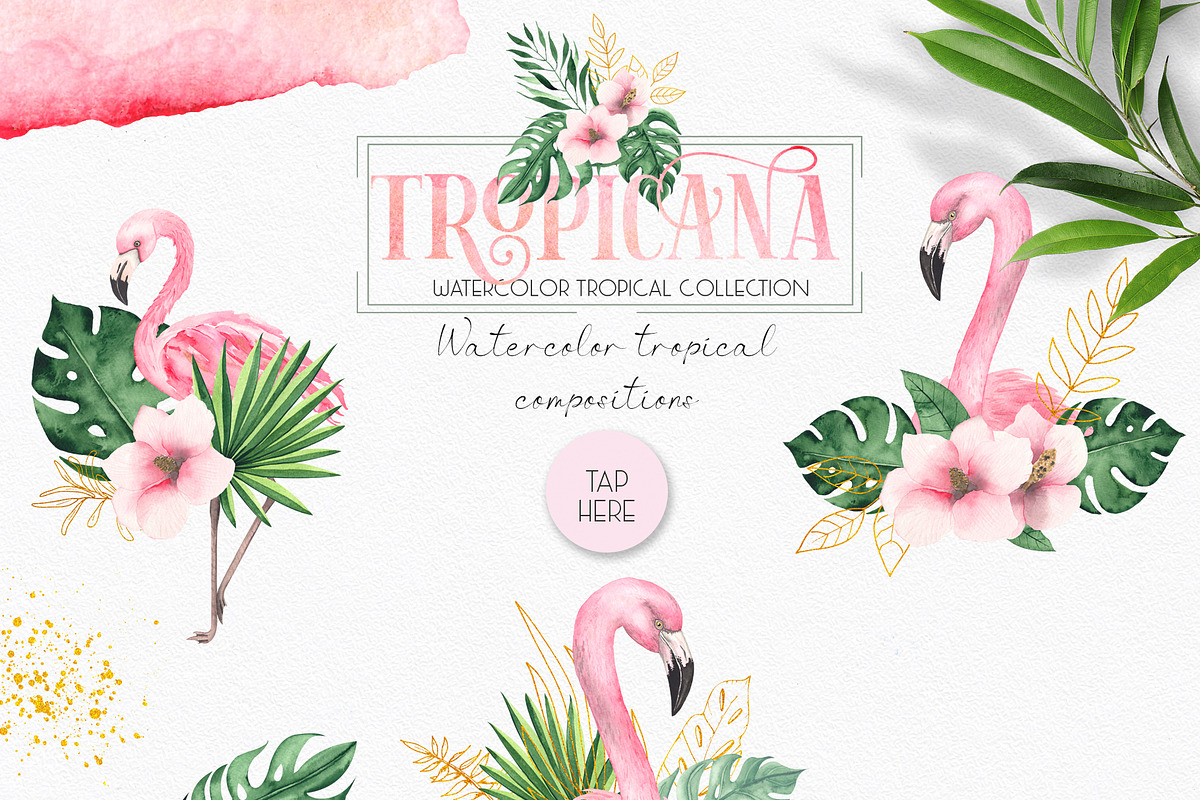 Watercolor tropical collection, an Object Graphic by Ana-Sakuta (Photo 2 of 16)