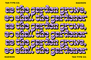 TAN - MADISON, a Font by TanType (Thumbnail 7 of 10)