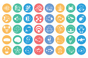 Sea Life Vector Icons Pack, an Icon by Vector Portal (Thumbnail 5 of 6)