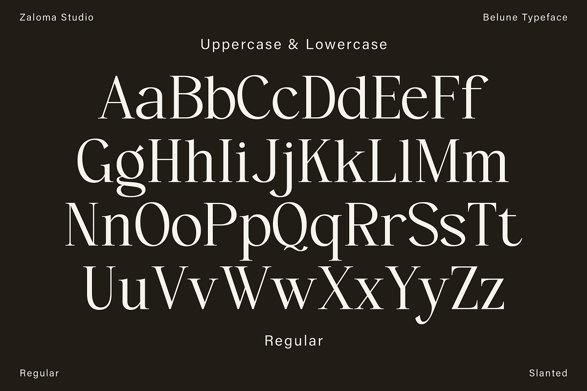 Belune, a Serif Font by Zaloma Studio (Photo 12 of 16)