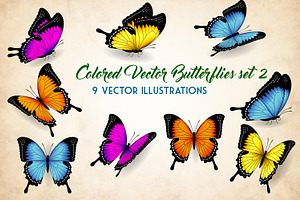 Vector Butterflies Illustrations