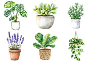 Potted Plants Clipart Bundle, an Illustration by cherrydesign (Thumbnail 3 of 3)