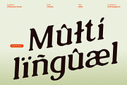 CS Reamus Drawn, a Serif Font by Craft Supply Co. (Thumbnail 7 of 8)