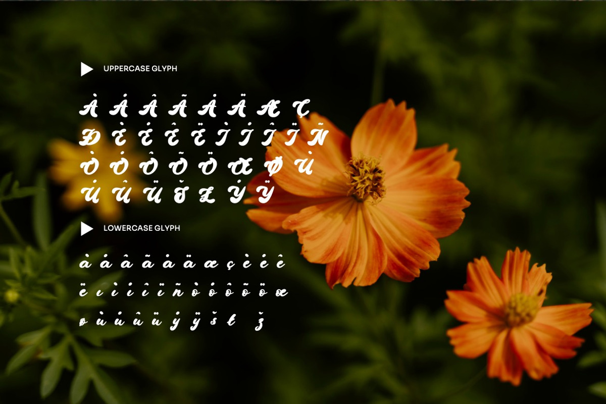 Etthany - Retro Script Font, a Script Font by Dhabee (Photo 6 of 15)