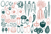 Paleo Diet Vector Collection, a Food Illustration by Lubov Illustrations Shop (Thumbnail 2 of 7)