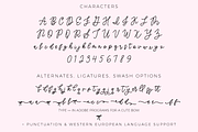 Coquettish Script, a Script Font by Beck McCormick (Thumbnail 10 of 10)