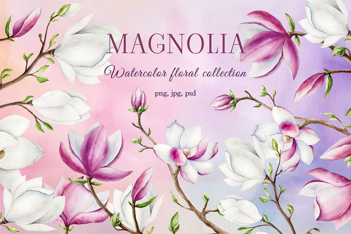 MAGNOLIA - Watercolor collection, a Decorative Illustration by Navenzeles (Photo 1 of 13)