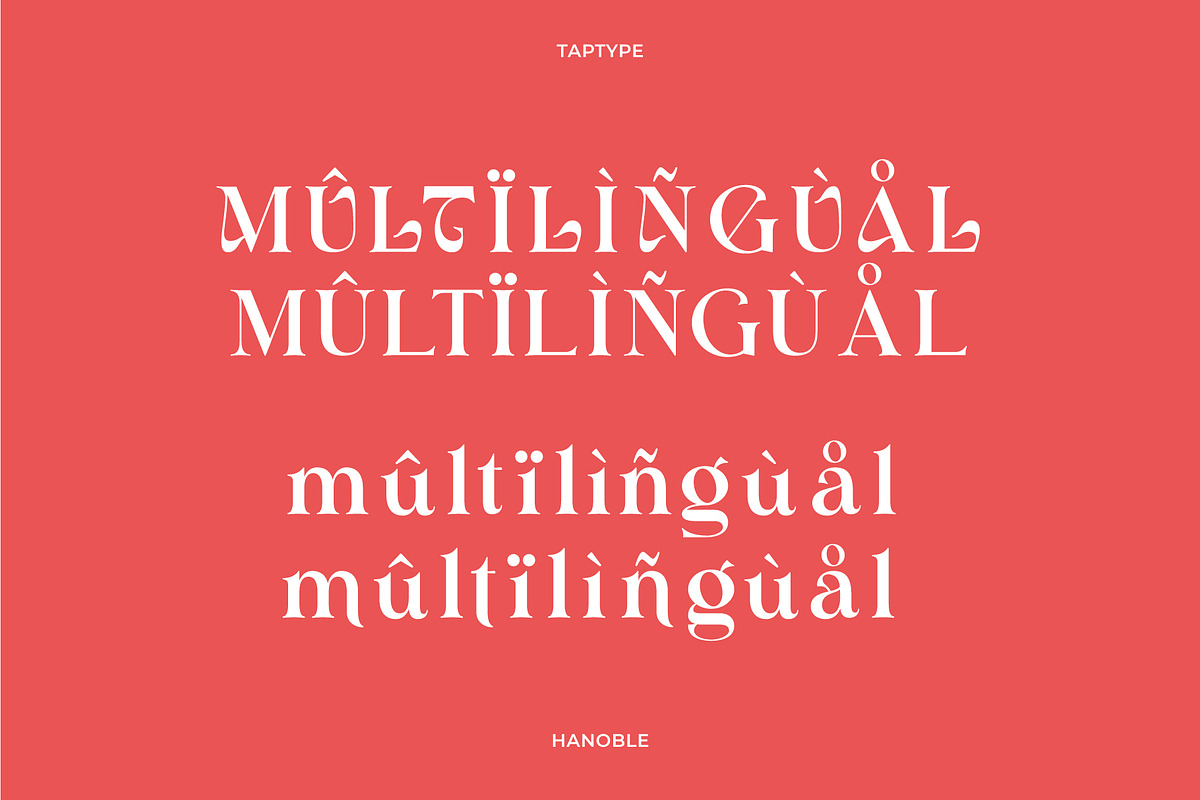 Hanoble - Modern Ligature Serif, a Serif Font by Vesvocrea (Photo 8 of 13)