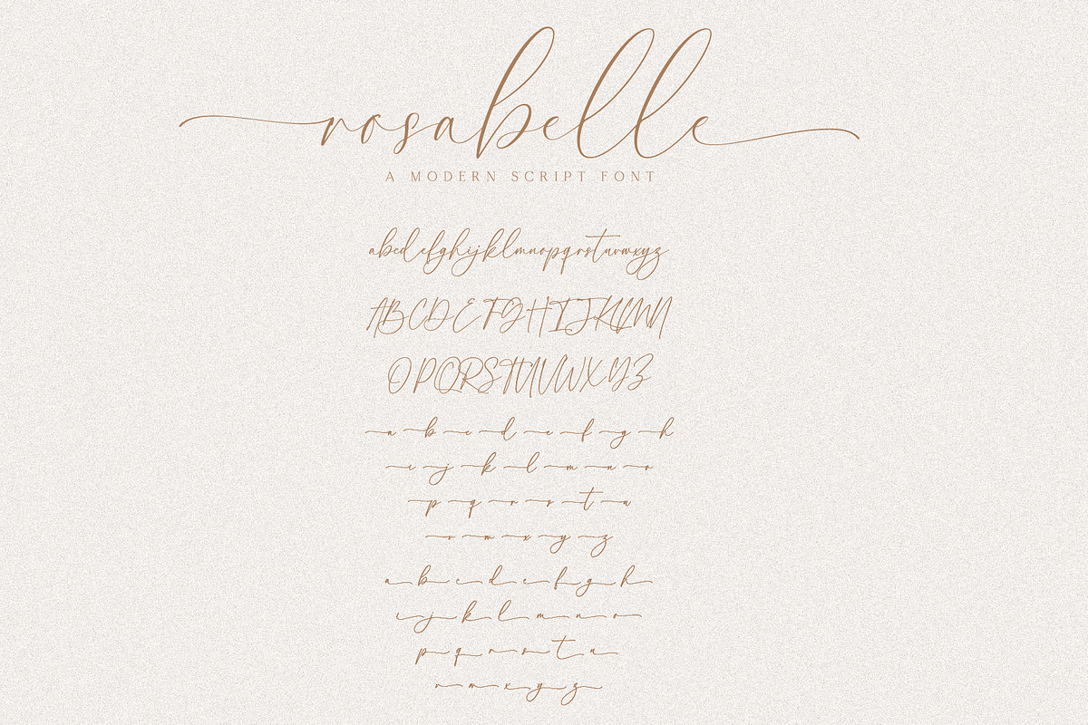 Rosabelle A Modern Script Font, a Script Font by Prestige Artsy Studio (Photo 9 of 9)