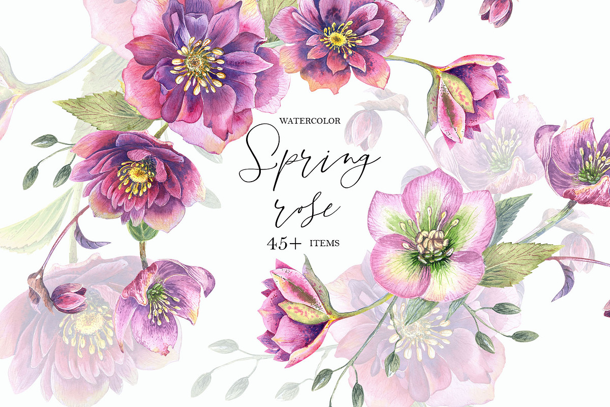 Spring Rose, an Illustration by JennyColorArt (Photo 1 of 8)