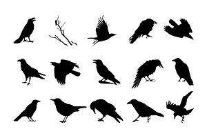 Crow SVG, Raven SVG