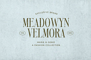Mirellow White Distressed Serif, a Serif Font by Letterhend Studio (Thumbnail 8 of 13)