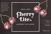 Glovin Tribe - Modern Display Font, a Serif Font by BearyType Studio (Thumbnail 6 of 8)