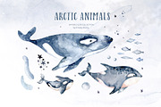 Arctic cute animals.  Watercolor set, an Animal Illustration by Peace ART (Thumbnail 7 of 22)