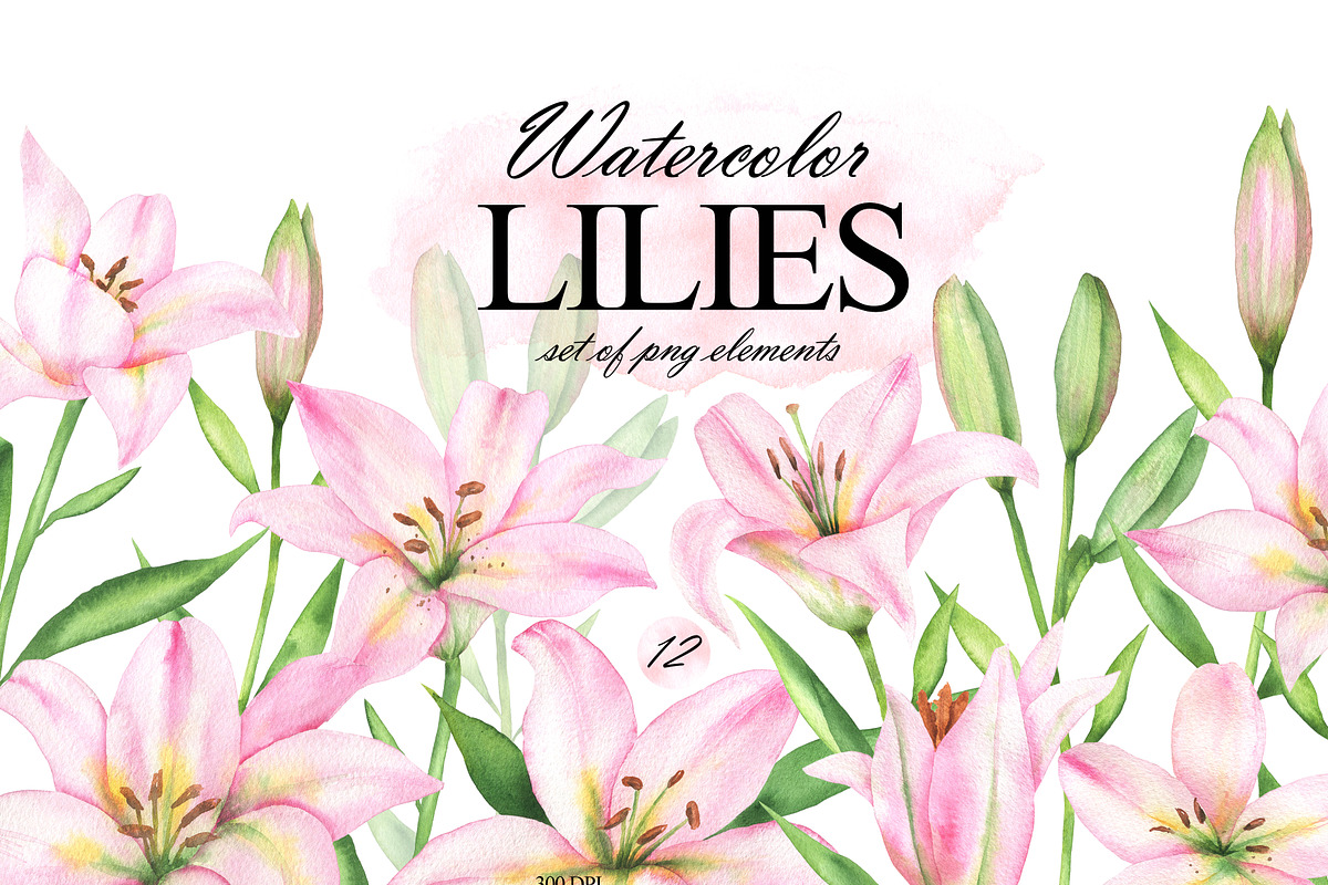 Pink lilies watercolor clipart set, an Illustration by OlDm_Shop (Photo 1 of 10)