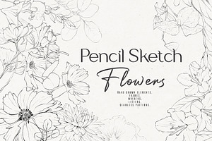 Pencil-drawn Flowers