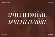 Grozery Stylish Serif Font, a Serif Font by Storytype Studio (Thumbnail 12 of 15)