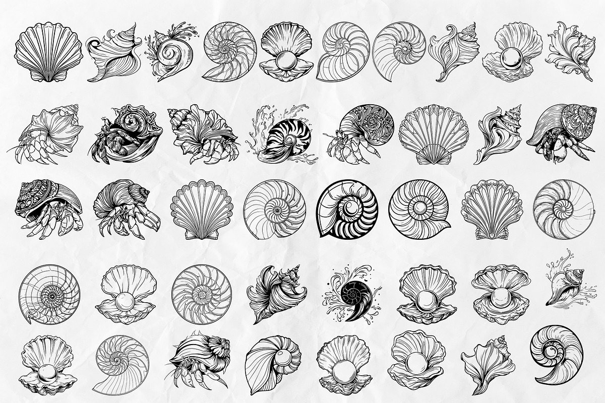Seashell SVG Bundle, an Object Graphic by Dervik Art Store (Photo 3 of 5)