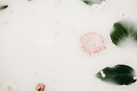 Milk bath stock image 007 featuring styled stock, lifestyle, and flat lay