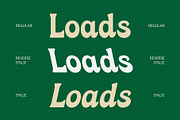 CS Cactus – Classic Font, a Serif Font by Craft Supply Co. (Thumbnail 4 of 8)