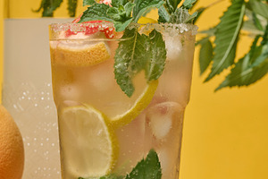 Glass with cool drink garnished with mint, lemon and grapefruit., a Food & Drink Photo by ndanko