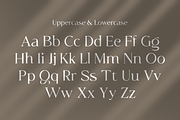 Sartika Milona - Elegant Serif Font, a Serif Font by Artchitype Studio (Thumbnail 9 of 12)