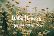 Wild Flowers II, a Templates & Theme by ApertureVintage (Thumbnail 8 of 14)