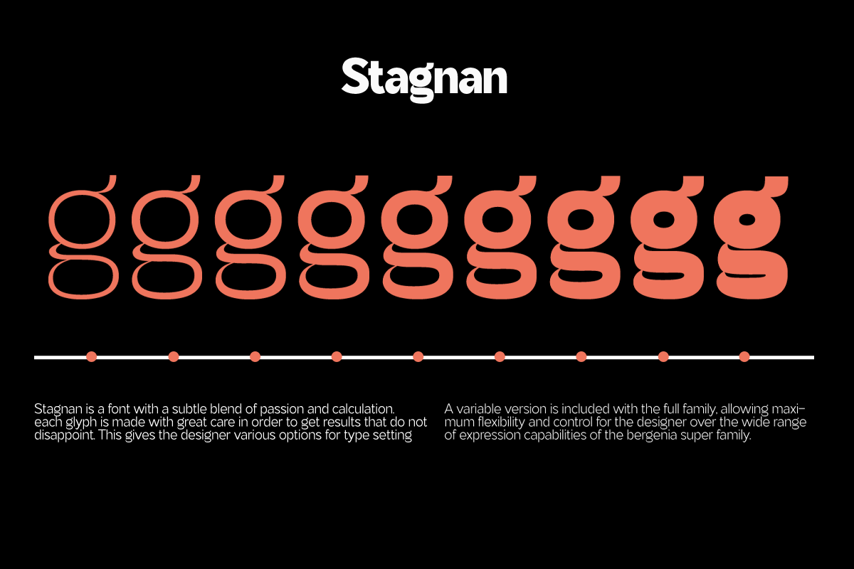 Stagnan, a Font by ArimaType (Photo 9 of 9)