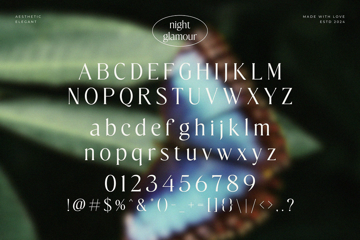 Night Glamour Classy Serif Font, a Serif Font by BrandSemut (Photo 9 of 10)