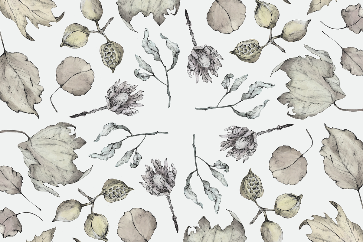 Australian Foliage, a Decorative Illustration by Hannah Judd