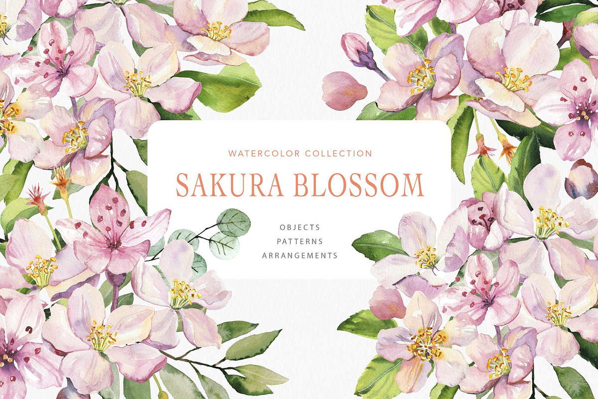 Botanical BUNDLE 10 in 1, a Decorative Illustration by Volha Studio (Photo 11 of 11)