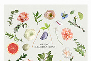Candy Rustic Floral Clipart Set, an Object Illustration by anastasiia.art (Thumbnail 9 of 10)