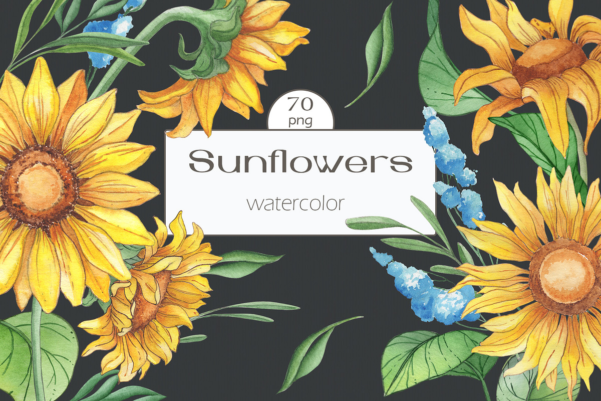 Sunflower watercolour collection., a Decorative Illustration by DamriNa art (Photo 1 of 10)