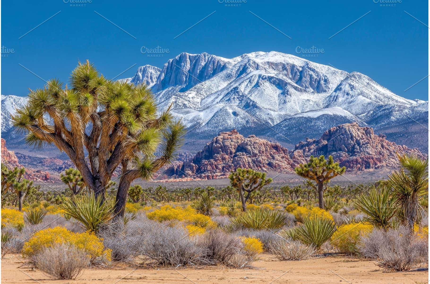 Before the Sierra Nevada Mountains, a Nature Photo by ZinetroN