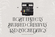 Frosty Garden - Elegant Retro Serif, a Serif Font by SilverStag Type Foundry (Thumbnail 17 of 19)
