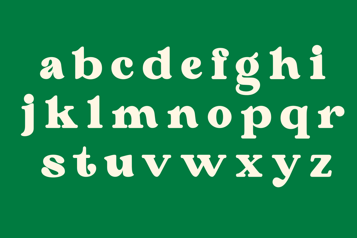 Never Aurora, a Serif Font by zaaintype (Photo 8 of 11)