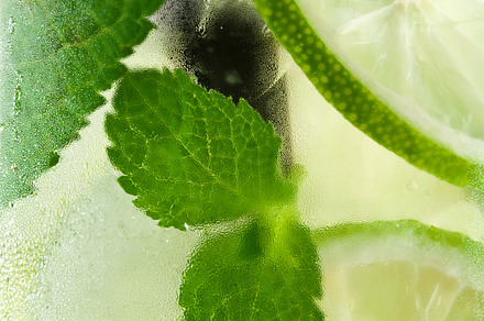 Lime and mint isolated featuring background, citrus, and closeup preview 6
