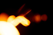 Lightbulb Bokeh Overlay Pack, a Texture Graphic by BLACKDAY (Thumbnail 11 of 20)