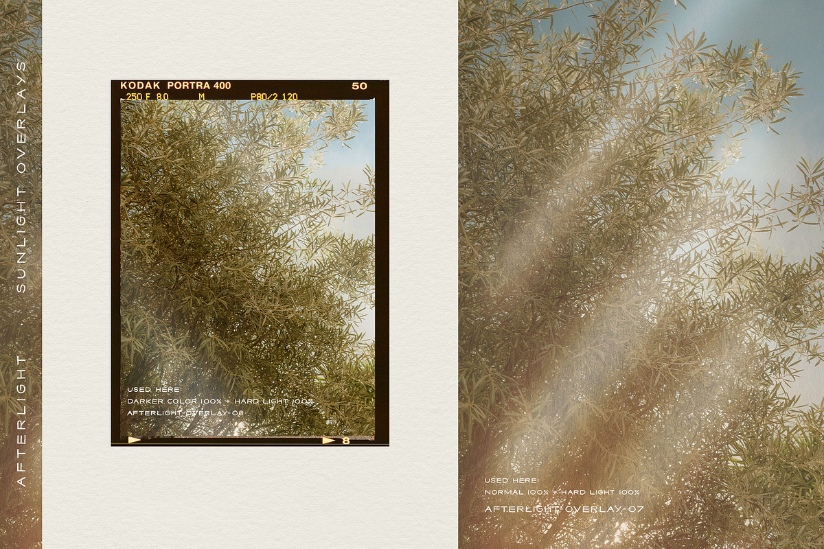Afterlight - Light Overlays, a Texture Graphic by alonahaidash (Photo 16 of 18)